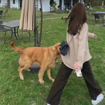 超级迪克